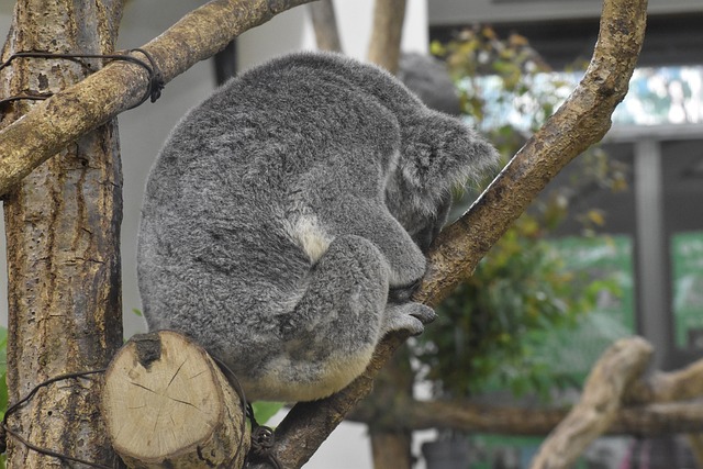 sleep