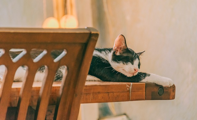 sleep