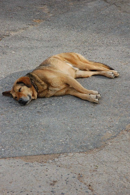 sleep