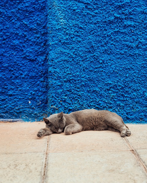sleep