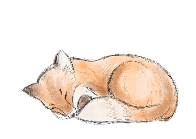sleep