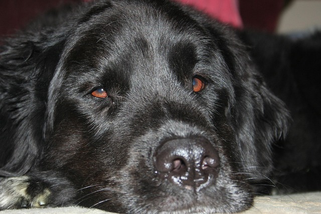 sleep-640x480-22692671.jpeg
