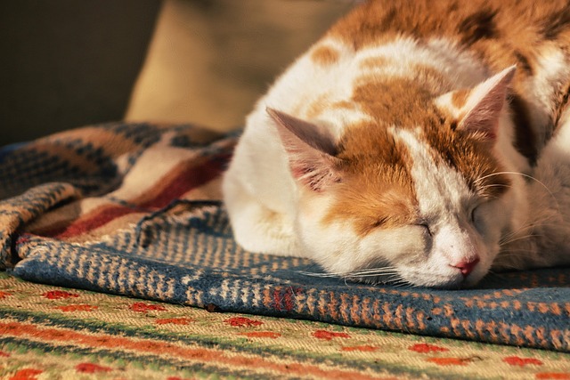 Exploring 3000mg Melatonin: Benefits and Potential Side Effects