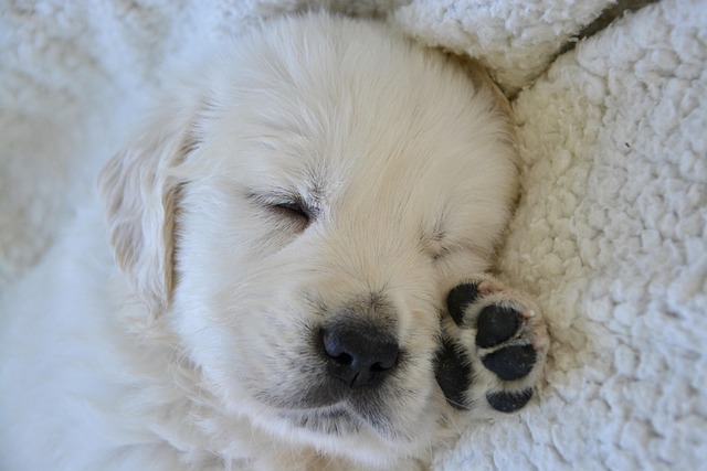sleep