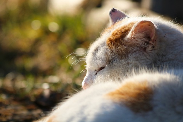 sleep-640x480-32672120.jpeg