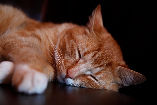 sleep