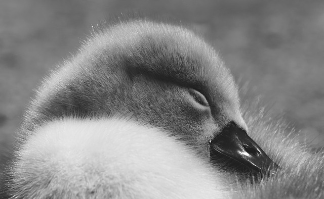 sleep-640x480-35346664.jpeg