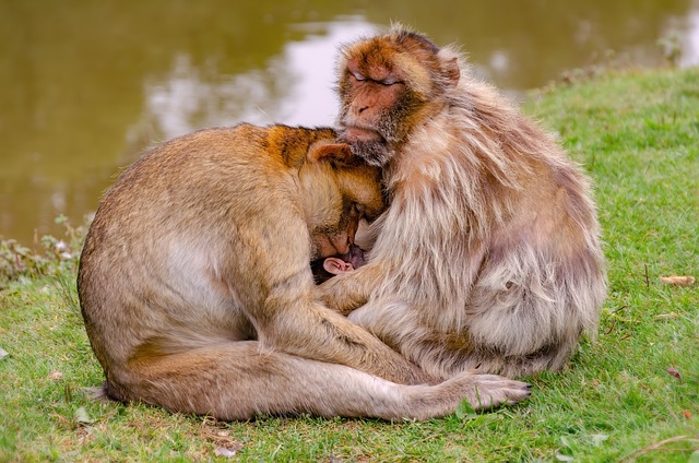 sleep-640x480-42522184.jpeg