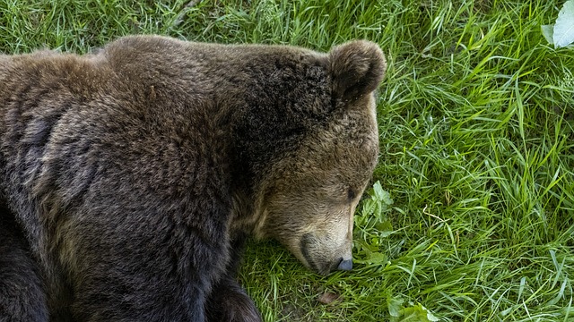 sleep