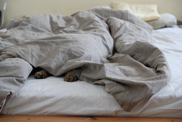 sleep