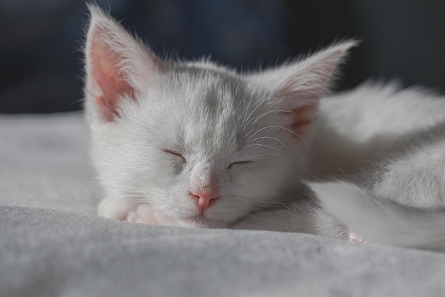 sleep