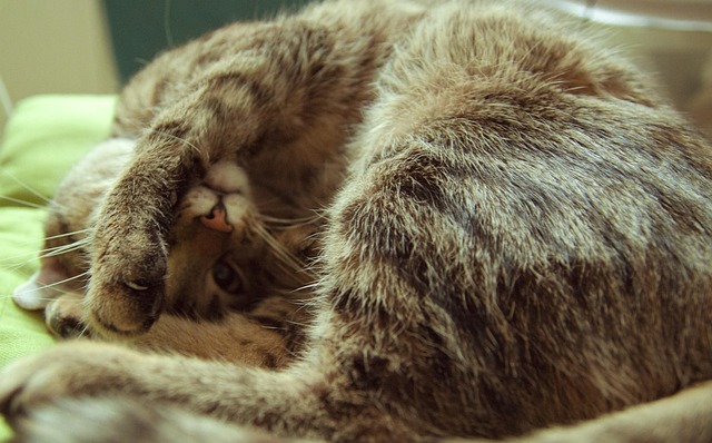sleep
