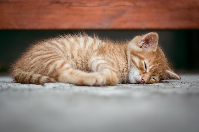 sleep-640x480-62560108.jpeg