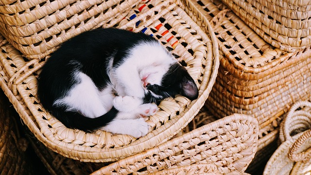 sleep-640x480-63055136.jpeg