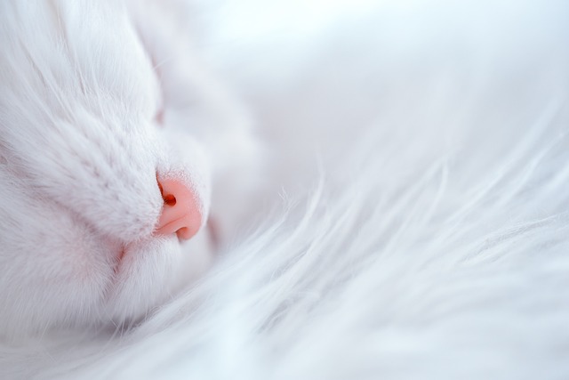 sleep