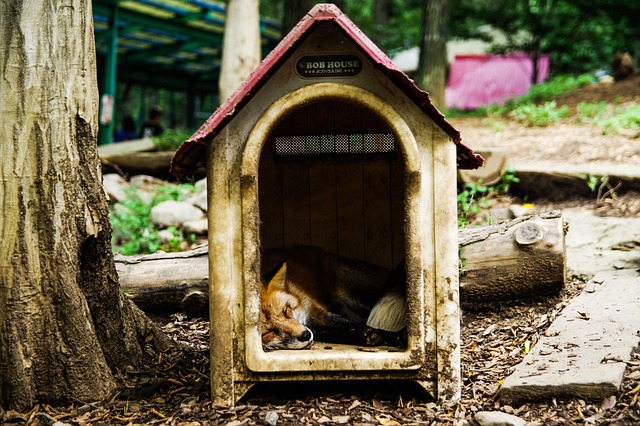 sleep-640x480-79517759.jpeg