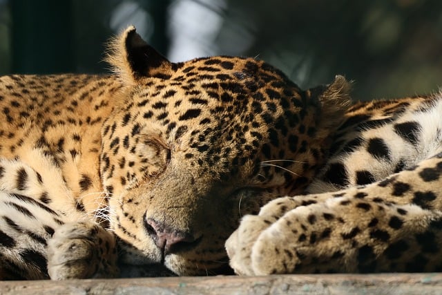 sleep-640x480-81669417.jpeg