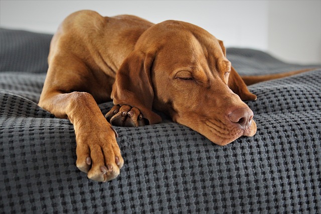 sleep