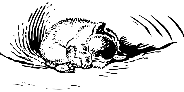 sleep-640x480-84693338.png