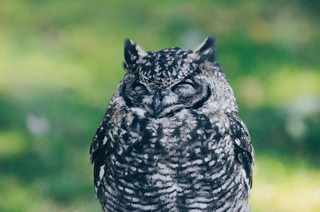 sleep-640x480-84952549.jpeg