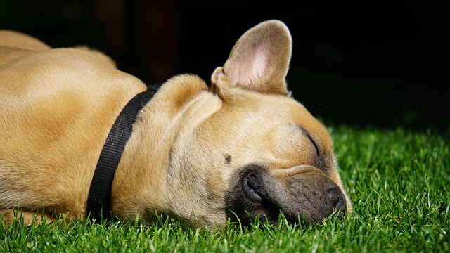 sleep
