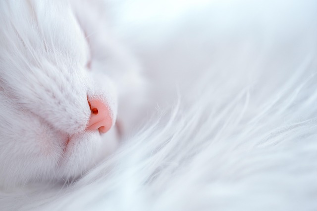 Unlocking Sleep Restoration: High-Dose Melatonin Therapy Explained