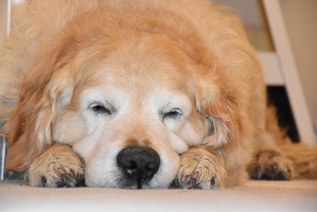 sleep