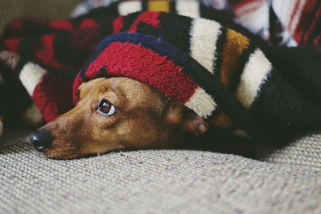 How Much Melatonin Is Dangerous?: Unraveling Safe Limits