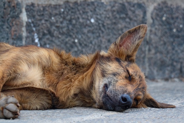 sleep