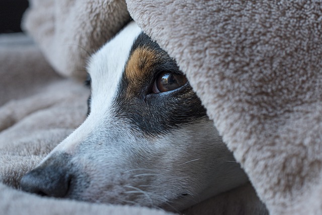 sleep-640x480-64317855.jpeg