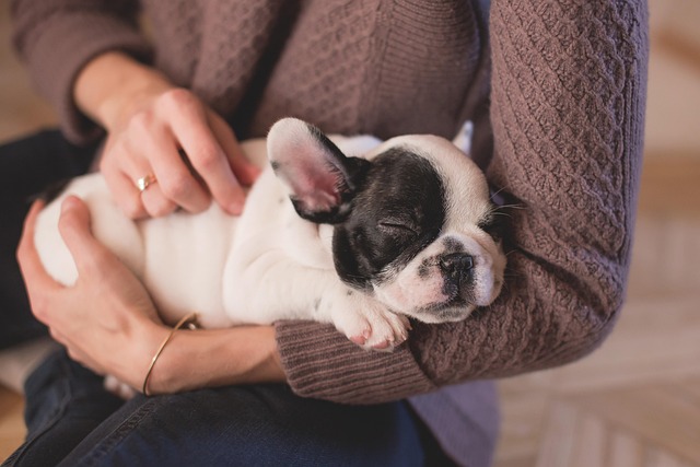 High-Dose Melatonin Therapy: Unlocking Restful Nights, Safely