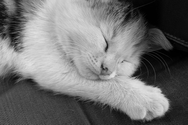 sleep