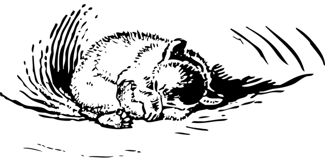 sleep-640x480-5375935.png